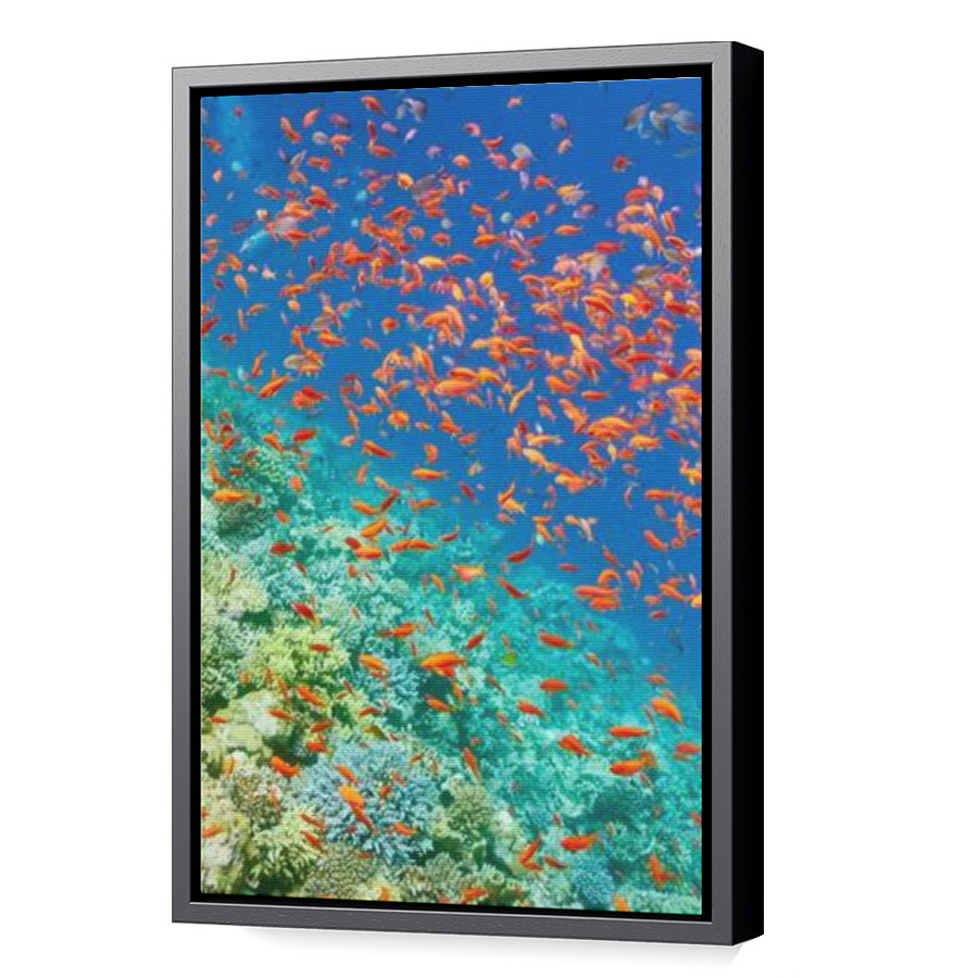 Thumbnail for Canvas - Black Floating Frame
