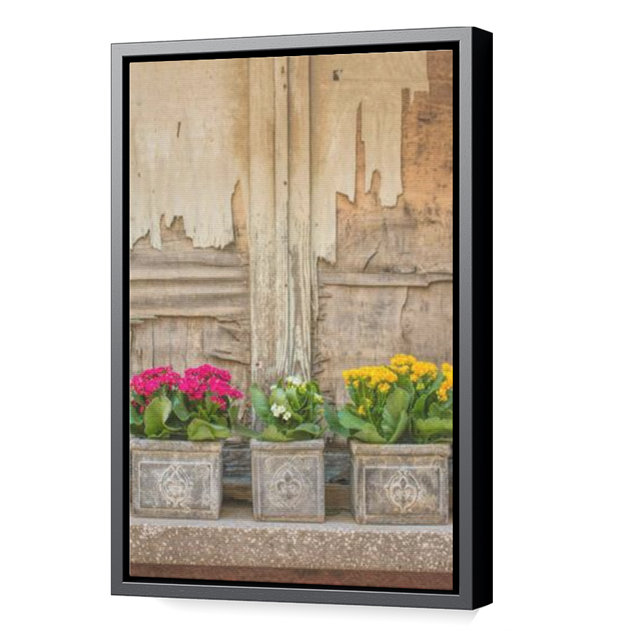 Thumbnail for Canvas - Black Floating Frame