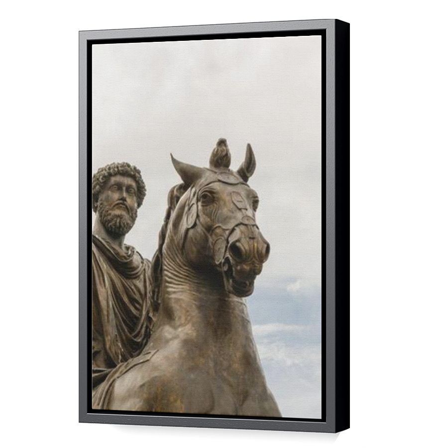 Thumbnail for Canvas - Black Floating Frame