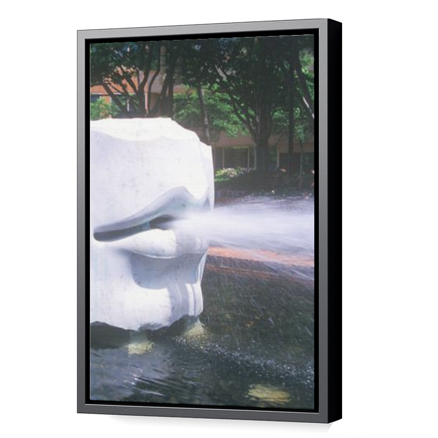 Thumbnail for Canvas - Black Floating Frame
