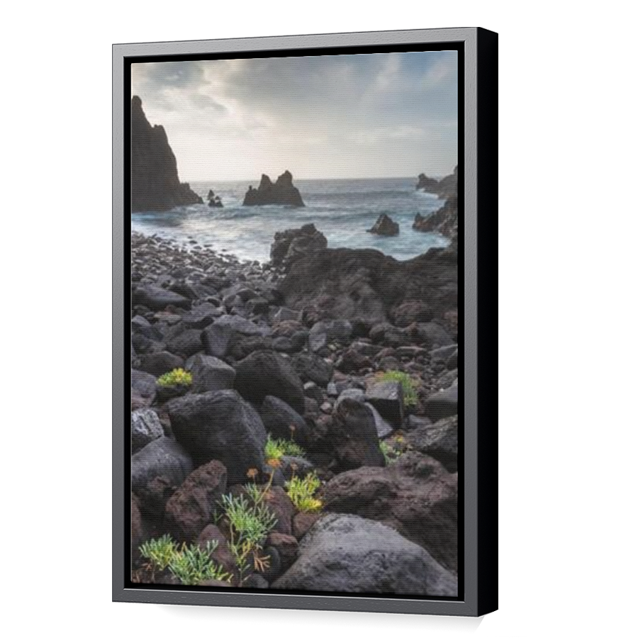 Thumbnail for Canvas - Black Floating Frame