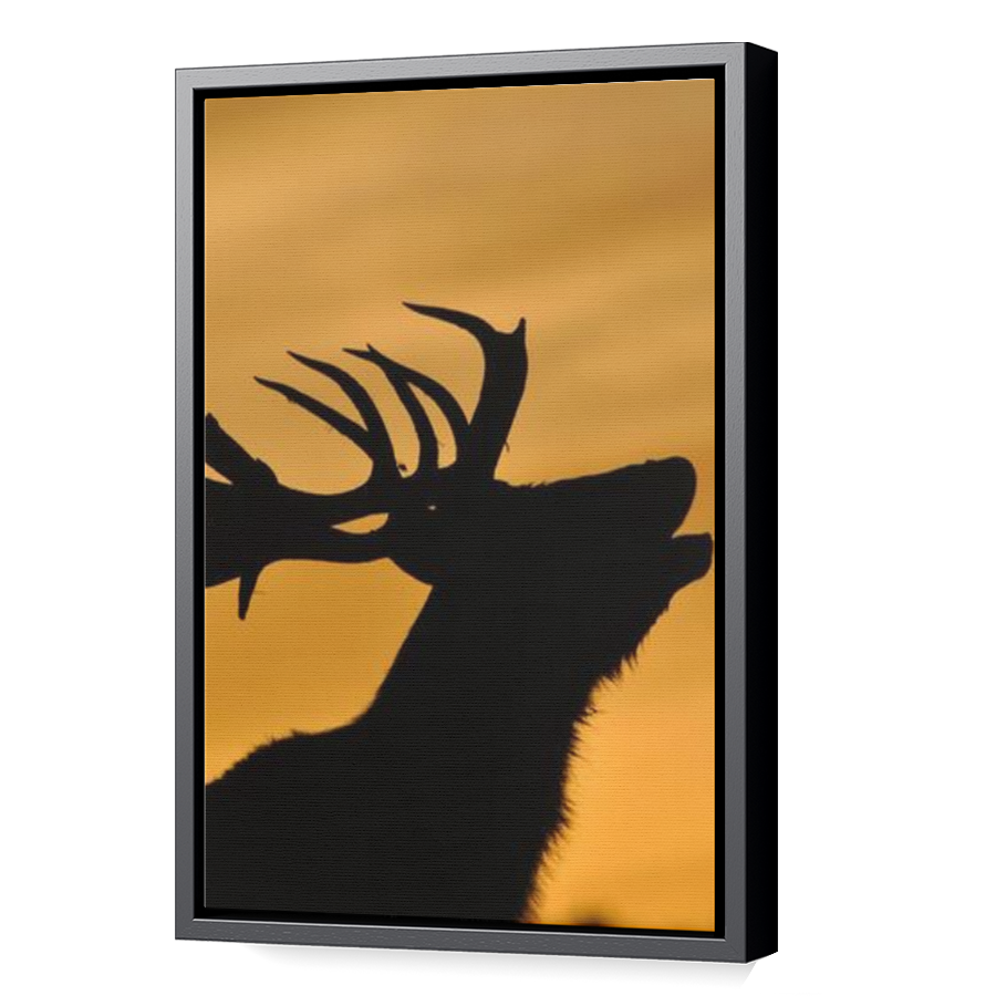 Thumbnail for Canvas - Black Floating Frame