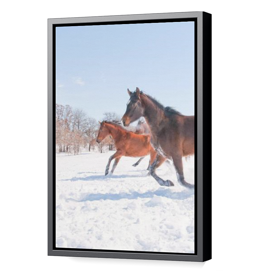 Thumbnail for Canvas - Black Floating Frame