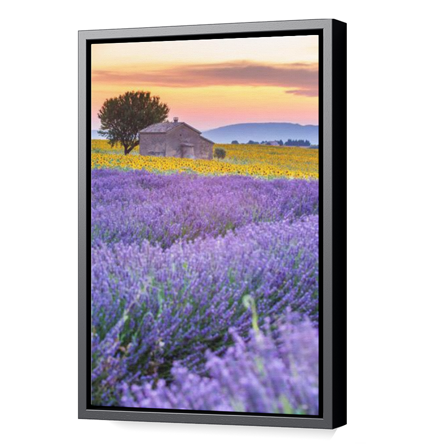Thumbnail for Canvas - Black Floating Frame
