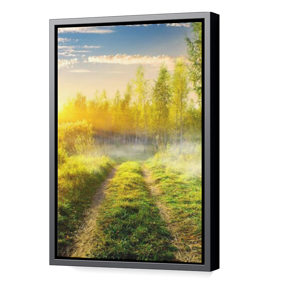 Thumbnail for Canvas - Black Floating Frame