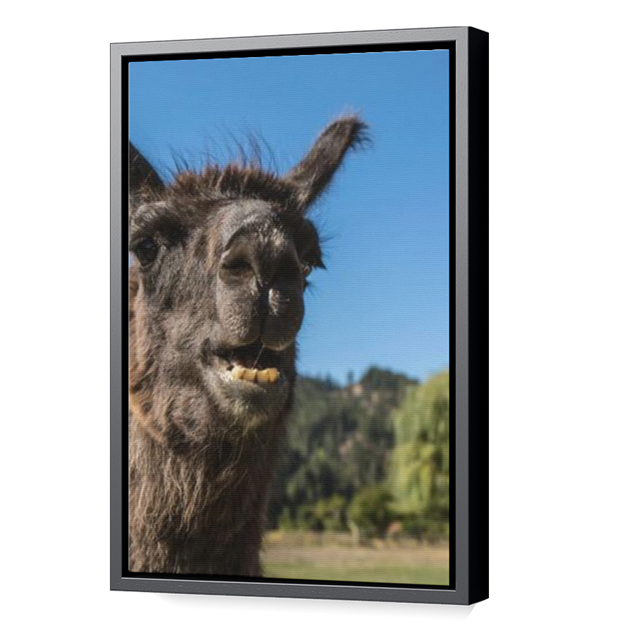 Thumbnail for Canvas - Black Floating Frame