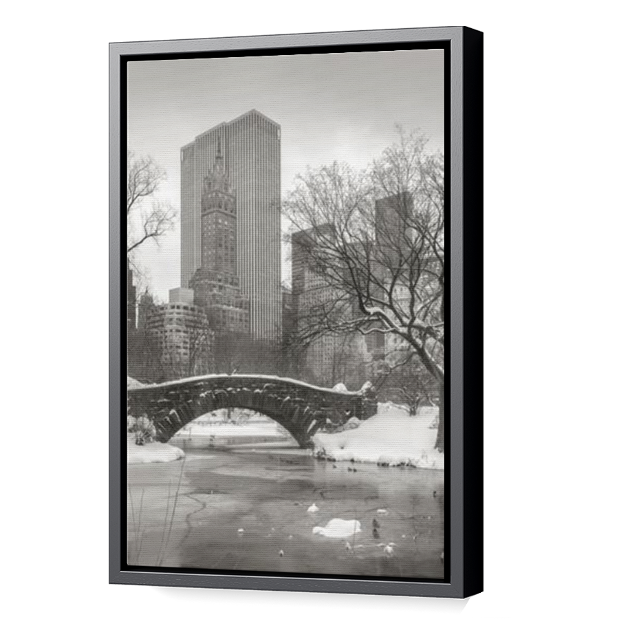 Thumbnail for Canvas - Black Floating Frame