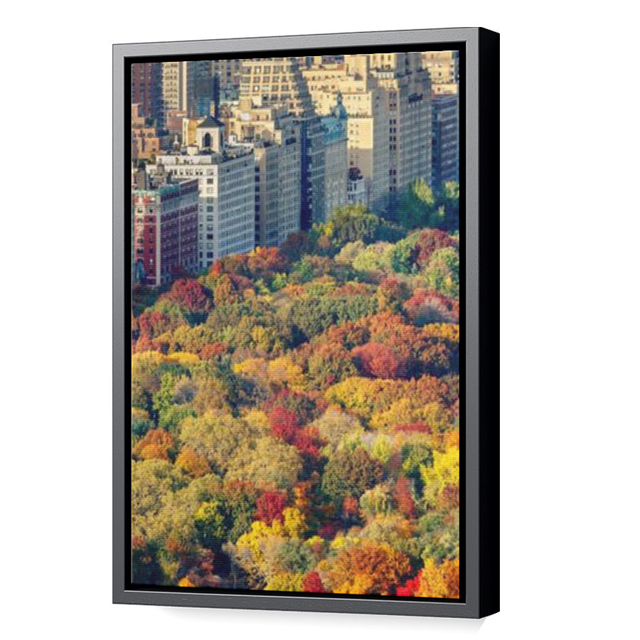 Thumbnail for Canvas - Black Floating Frame