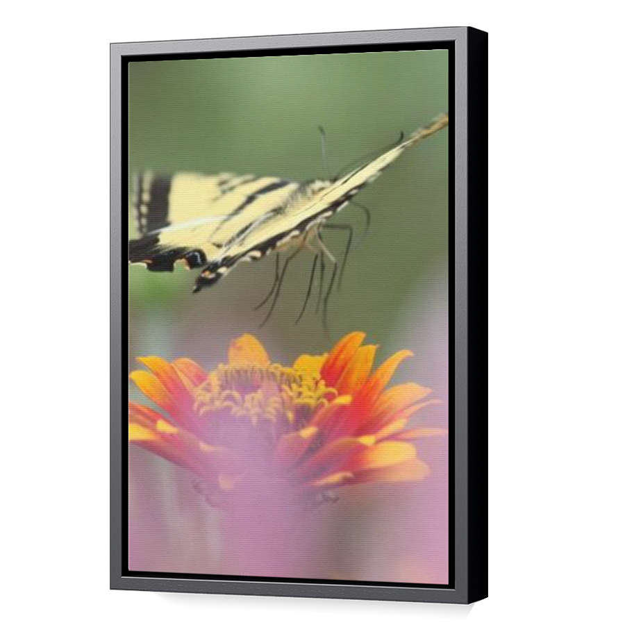 Thumbnail for Canvas - Black Floating Frame