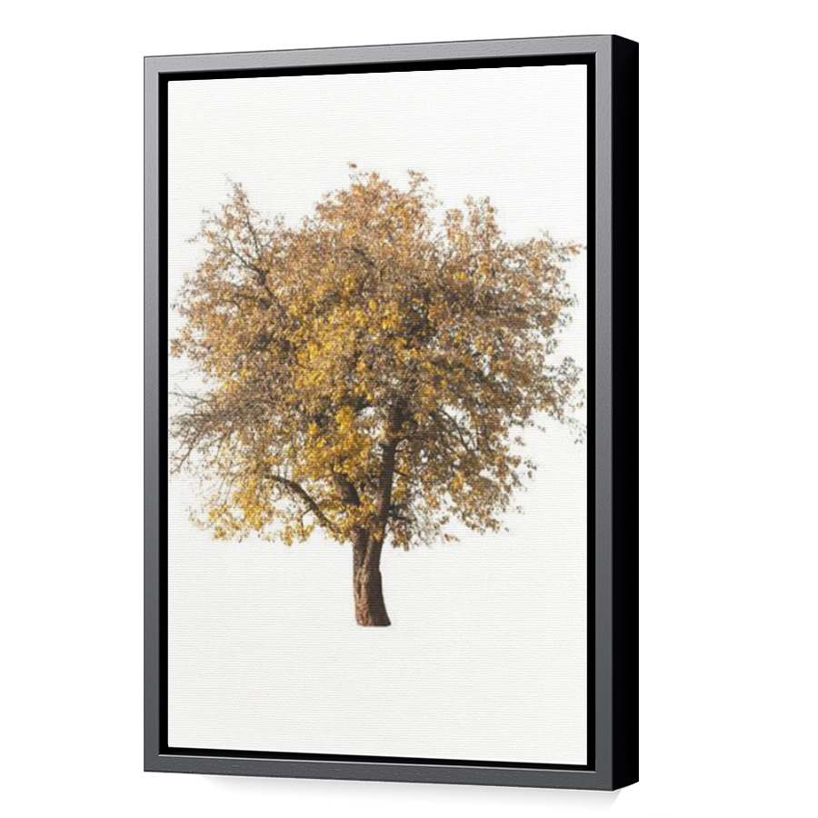 Thumbnail for Canvas - Black Floating Frame