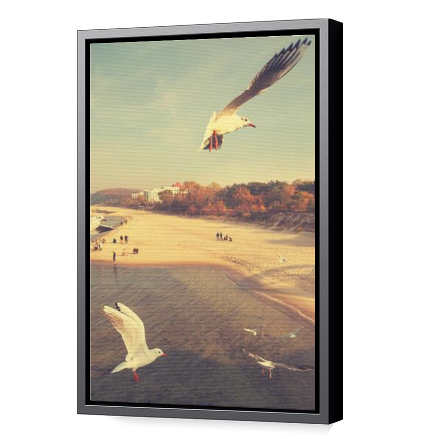 Thumbnail for Canvas - Black Floating Frame