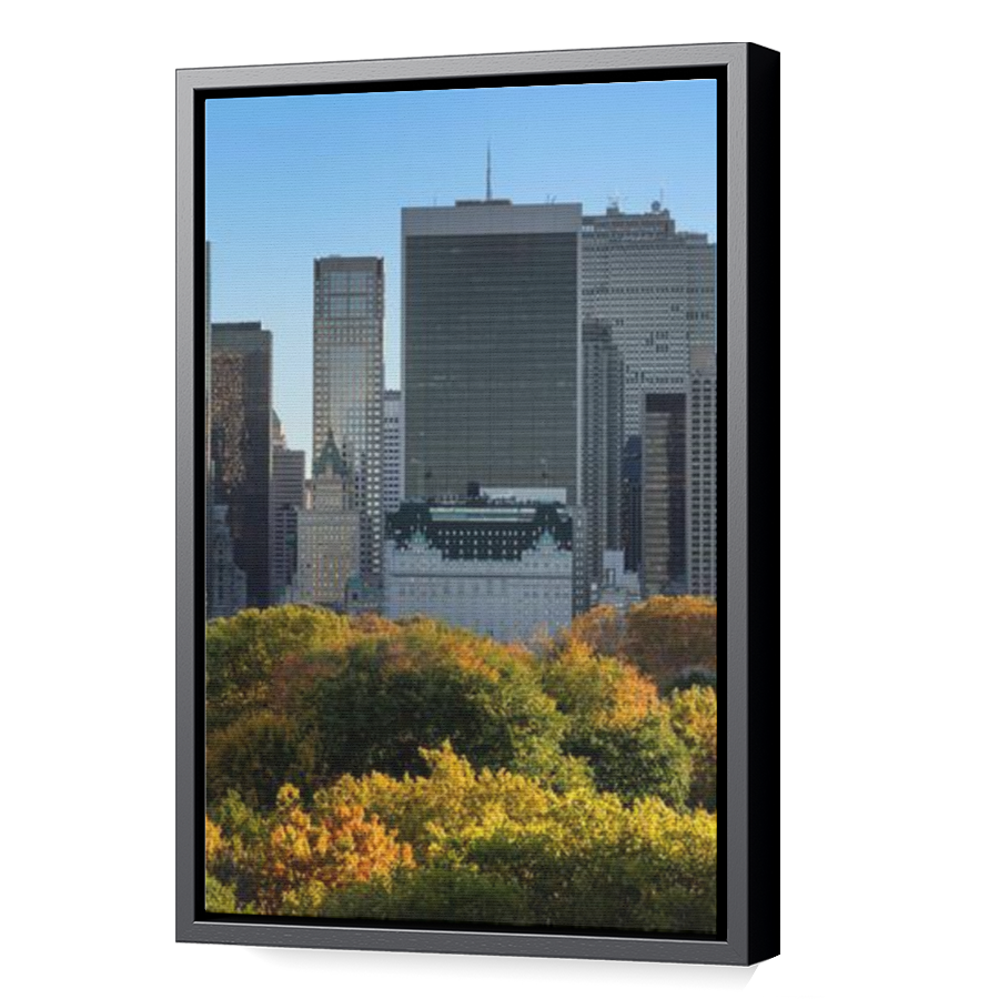 Thumbnail for Canvas - Black Floating Frame