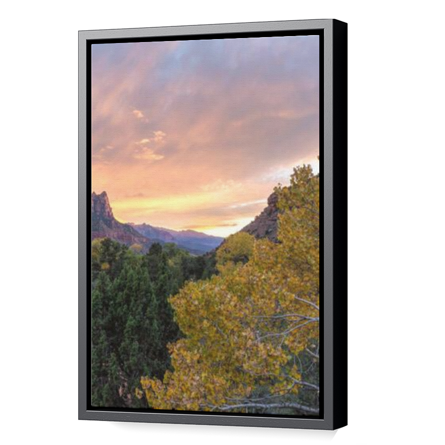 Thumbnail for Canvas - Black Floating Frame