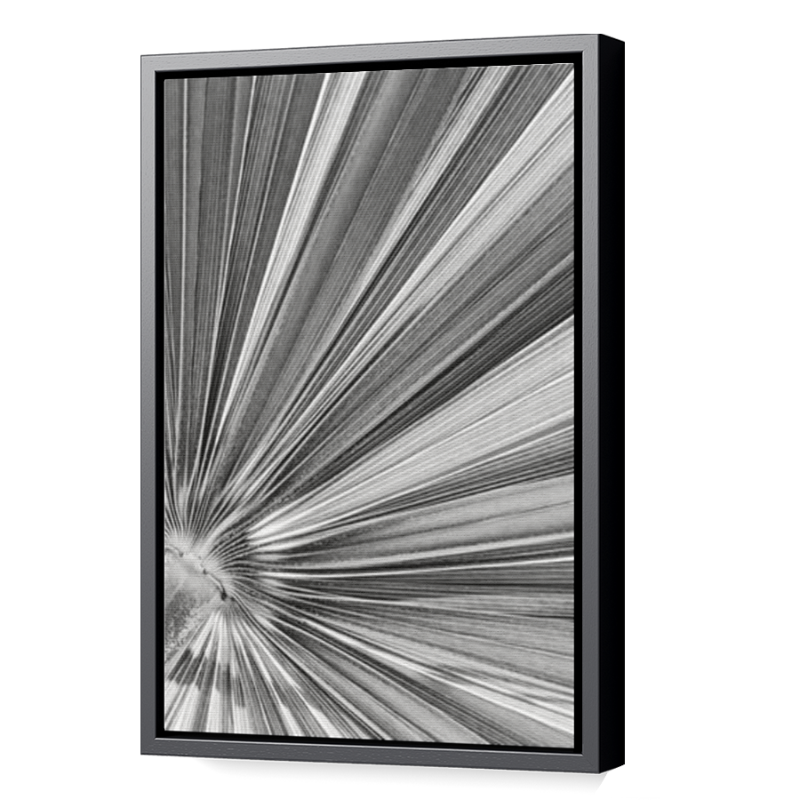 Thumbnail for Canvas - Black Floating Frame