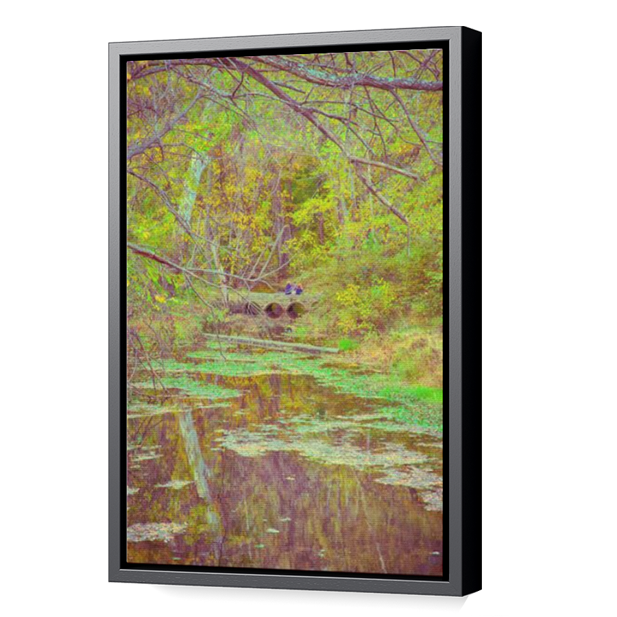 Thumbnail for Canvas - Black Floating Frame