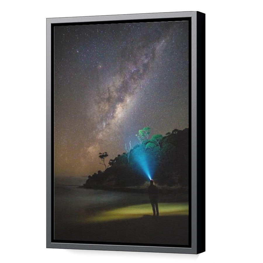 Thumbnail for Canvas - Black Floating Frame