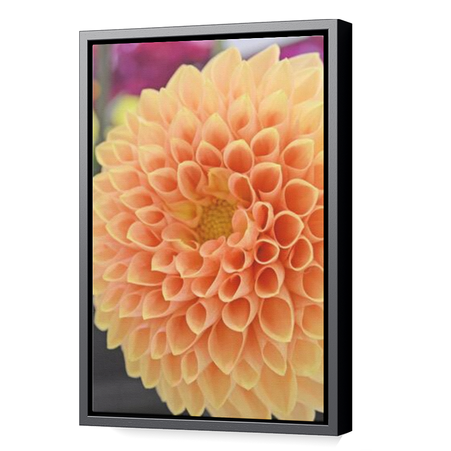 Thumbnail for Canvas - Black Floating Frame
