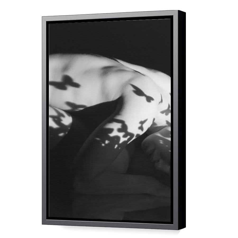 Thumbnail for Canvas - Black Floating Frame