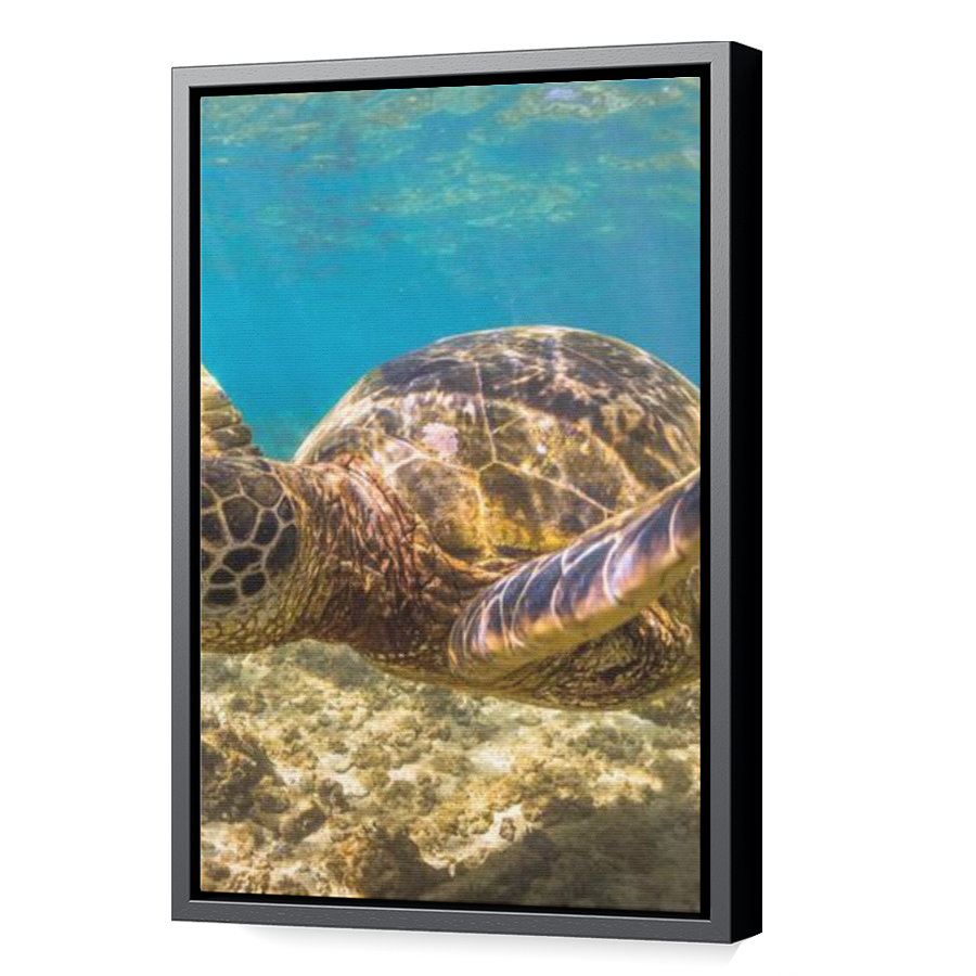 Thumbnail for Canvas - Black Floating Frame