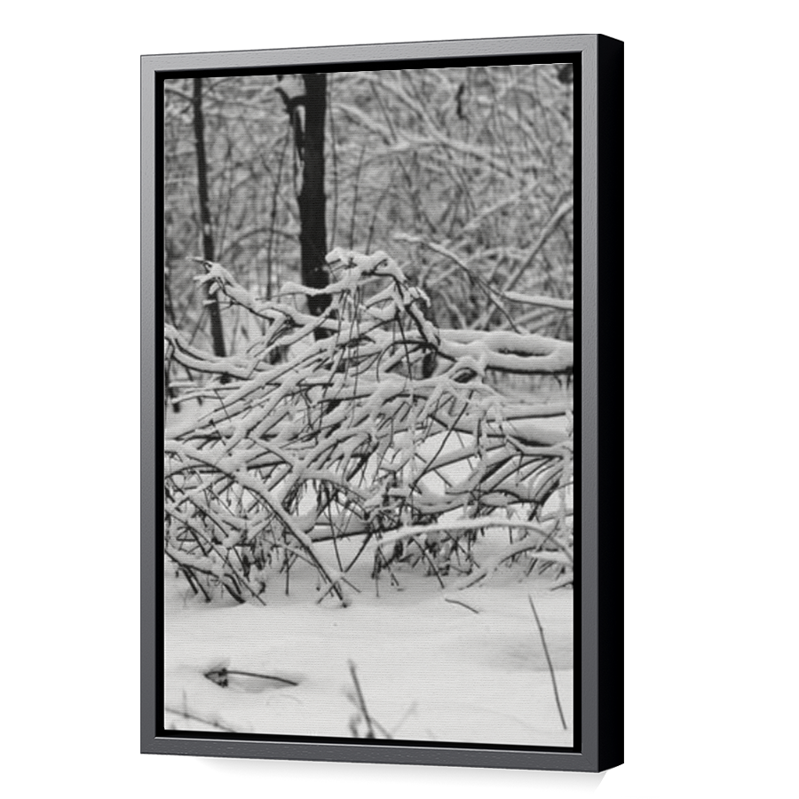 Thumbnail for Canvas - Black Floating Frame