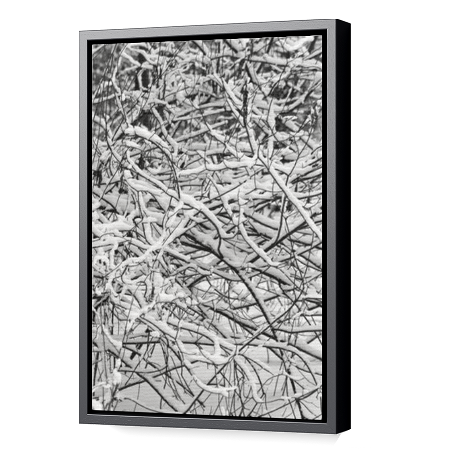 Thumbnail for Canvas - Black Floating Frame