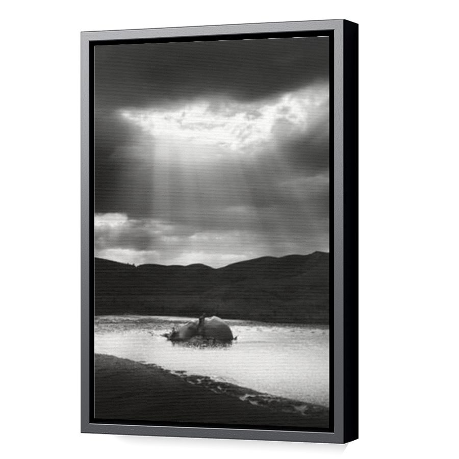 Thumbnail for Canvas - Black Floating Frame