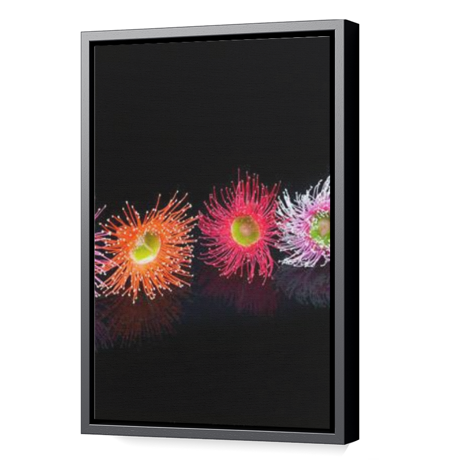Thumbnail for Canvas - Black Floating Frame