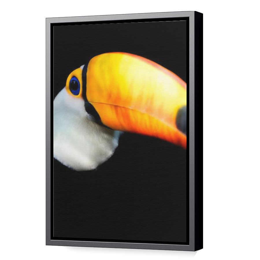 Thumbnail for Canvas - Black Floating Frame
