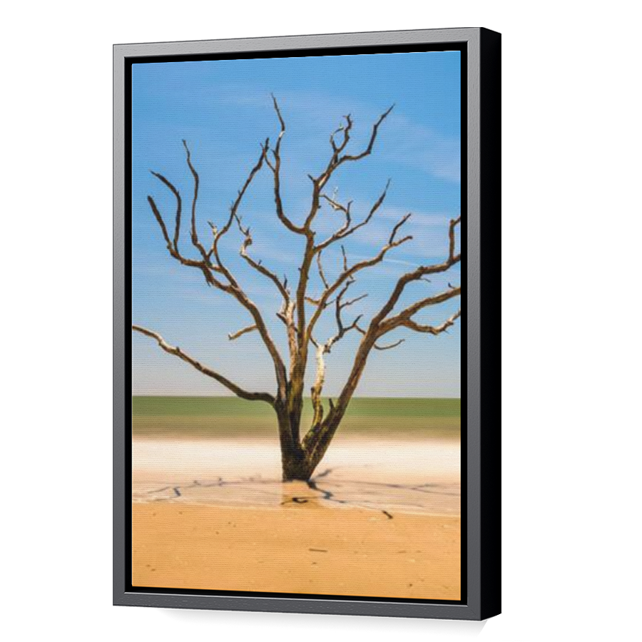 Thumbnail for Canvas - Black Floating Frame