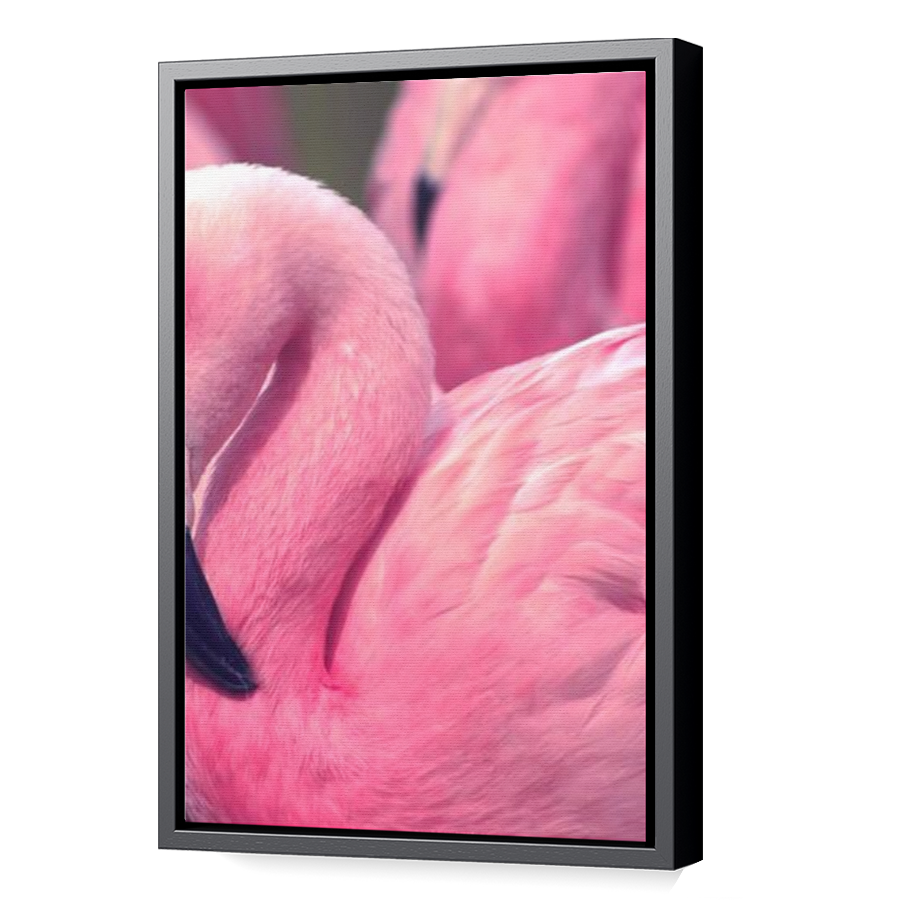 Thumbnail for Canvas - Black Floating Frame