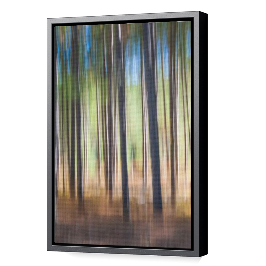 Thumbnail for Canvas - Black Floating Frame