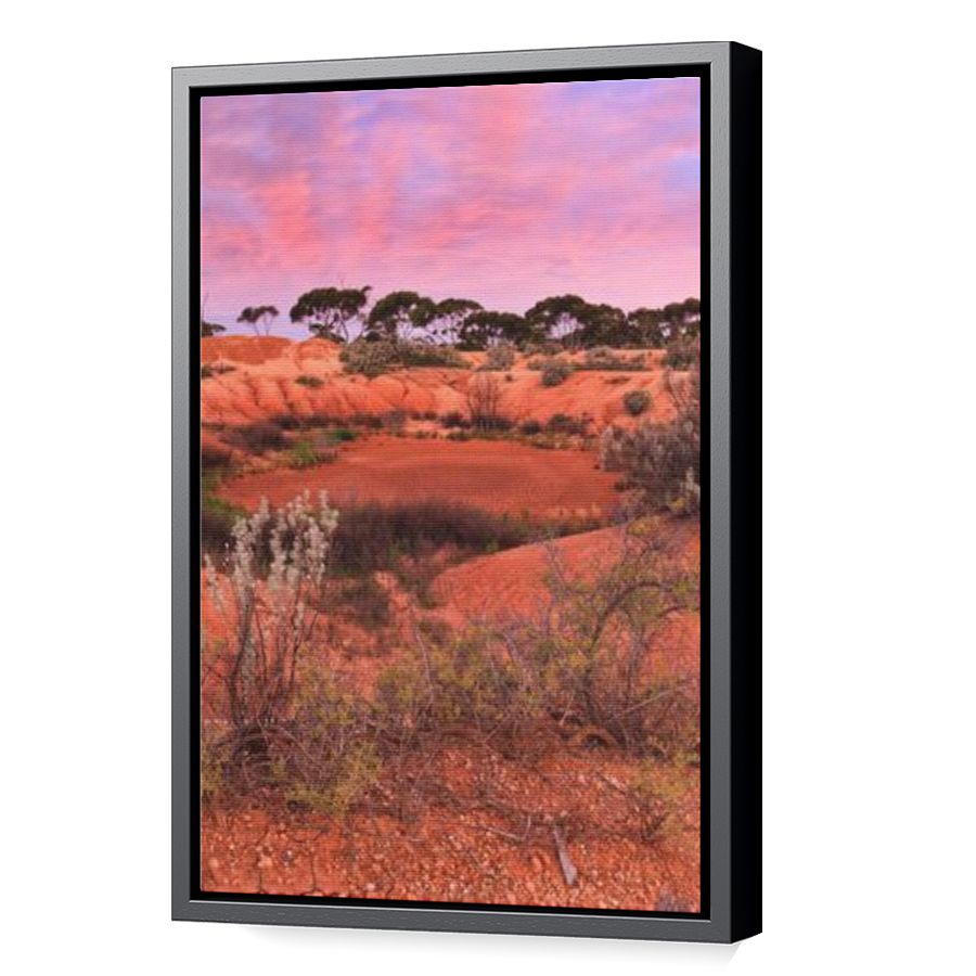 Thumbnail for Canvas - Black Floating Frame