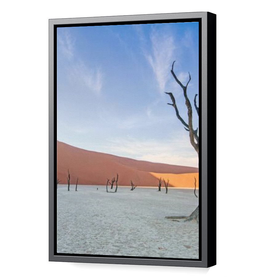 Thumbnail for Canvas - Black Floating Frame