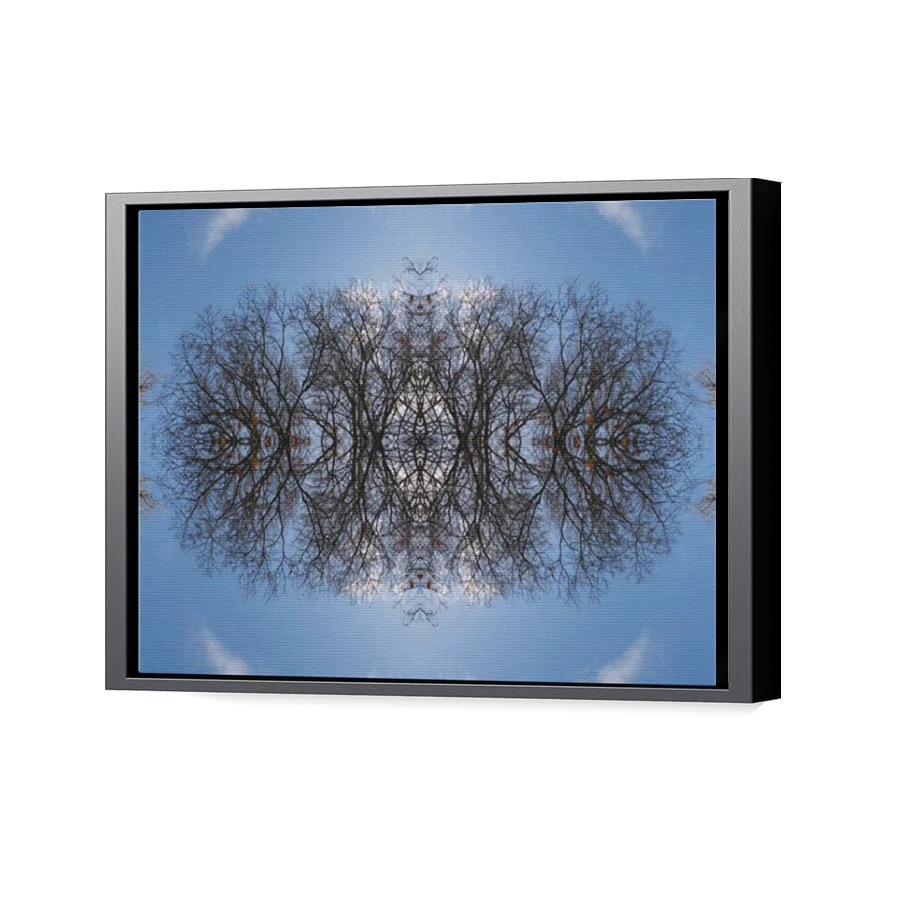 Thumbnail for Canvas - Black Floating Frame