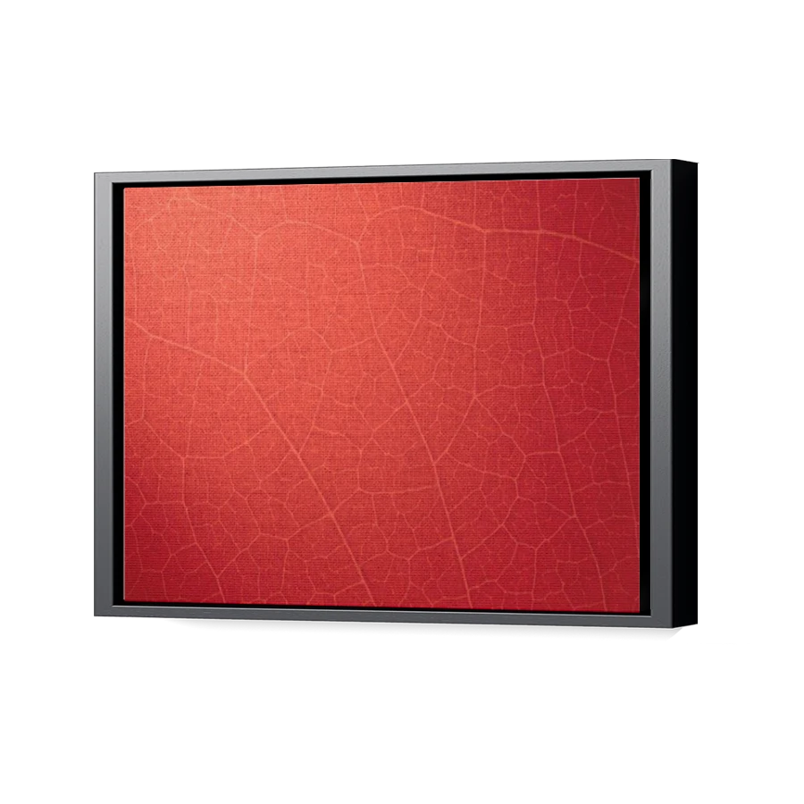 Thumbnail for Canvas - Black Floating Frame
