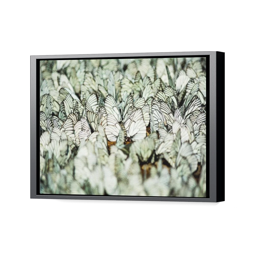 Thumbnail for Canvas - Black Floating Frame