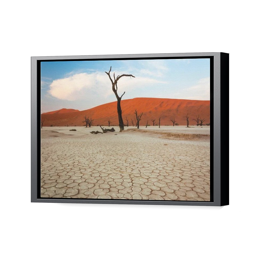 Thumbnail for Canvas - Black Floating Frame