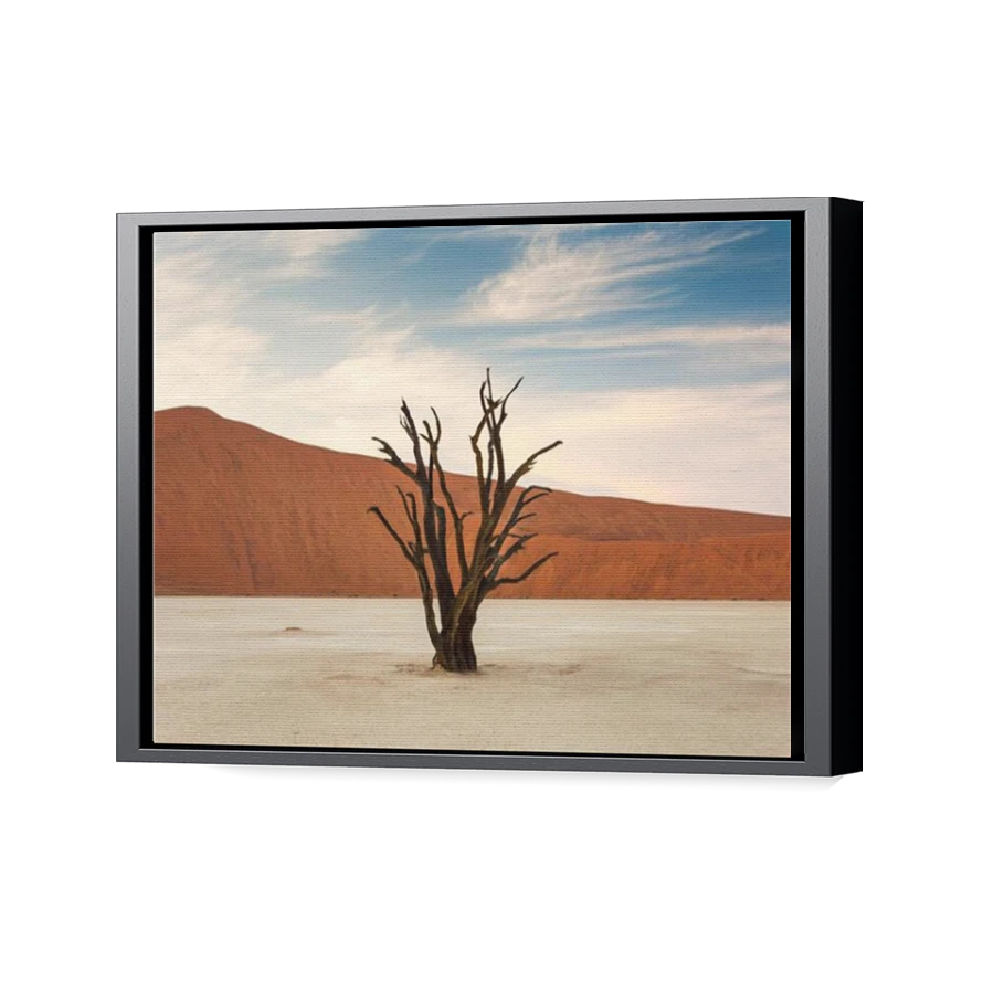 Thumbnail for Canvas - Black Floating Frame