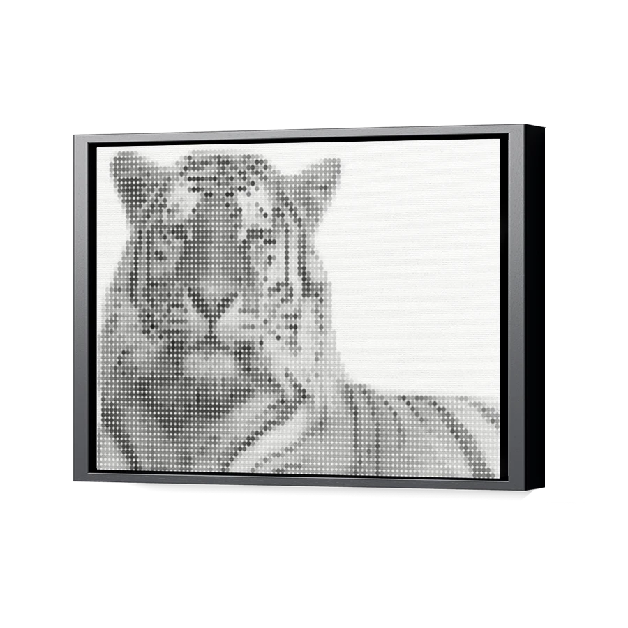 Thumbnail for Canvas - Black Floating Frame