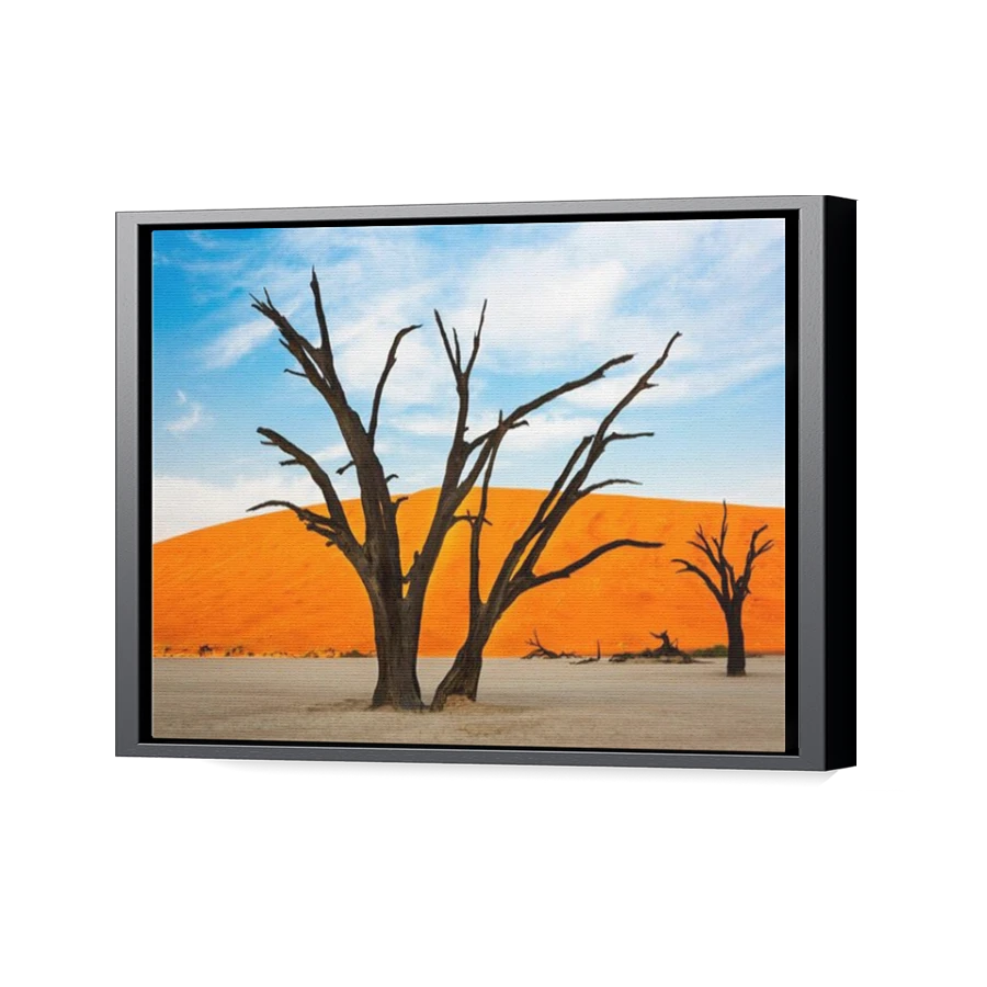 Thumbnail for Canvas - Black Floating Frame
