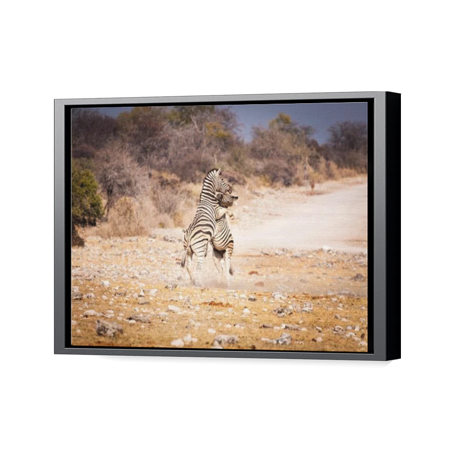 Thumbnail for Canvas - Black Floating Frame