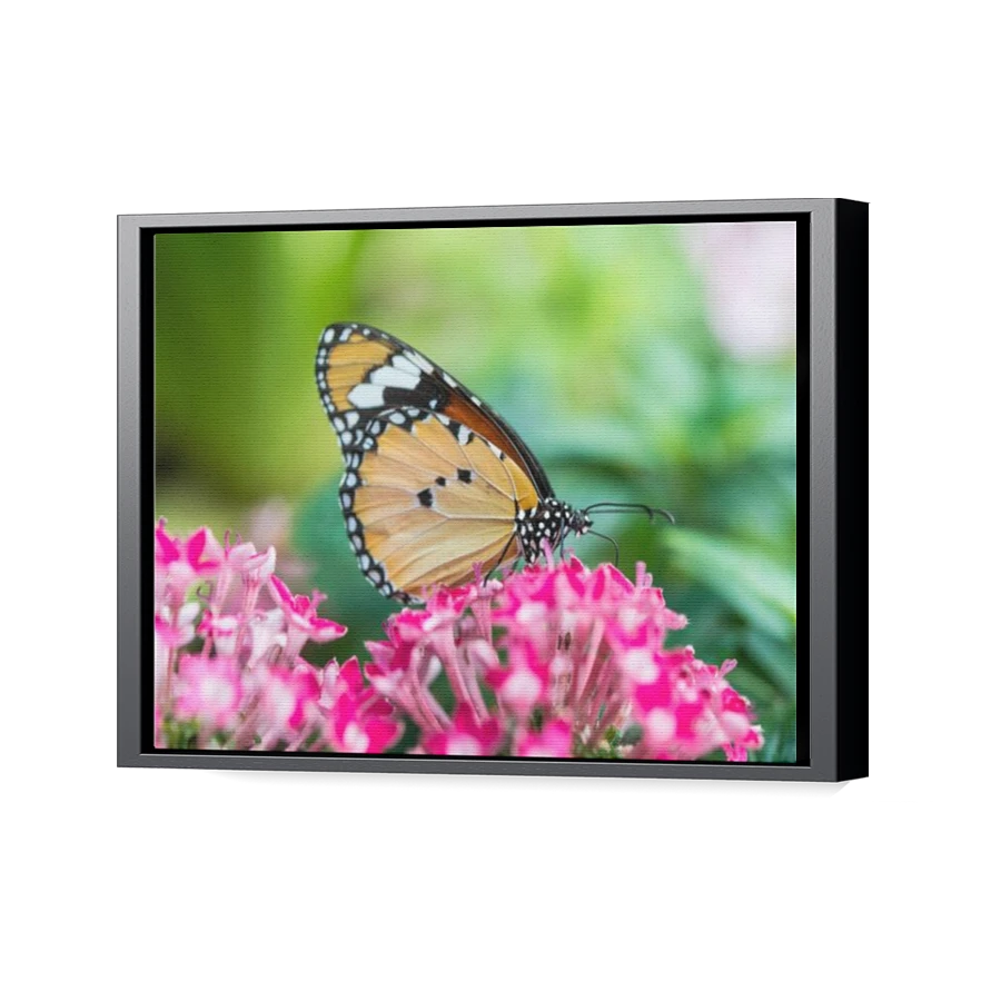 Thumbnail for Canvas - Black Floating Frame
