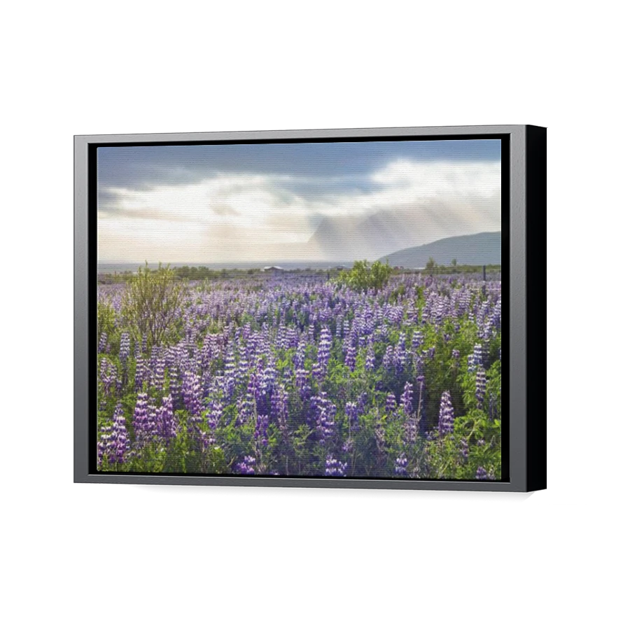 Thumbnail for Canvas - Black Floating Frame