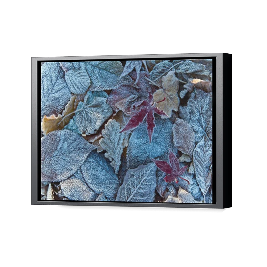 Thumbnail for Canvas - Black Floating Frame
