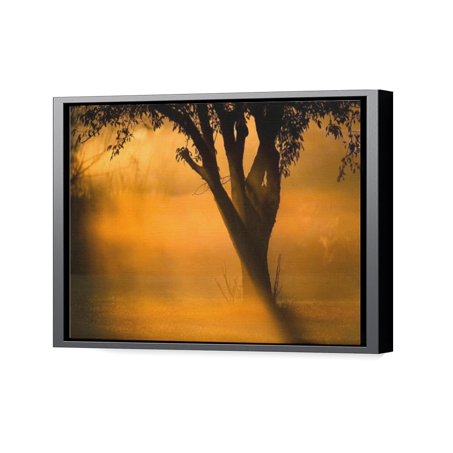 Thumbnail for Canvas - Black Floating Frame