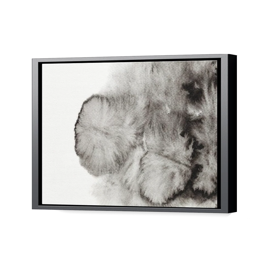 Thumbnail for Canvas - Black Floating Frame