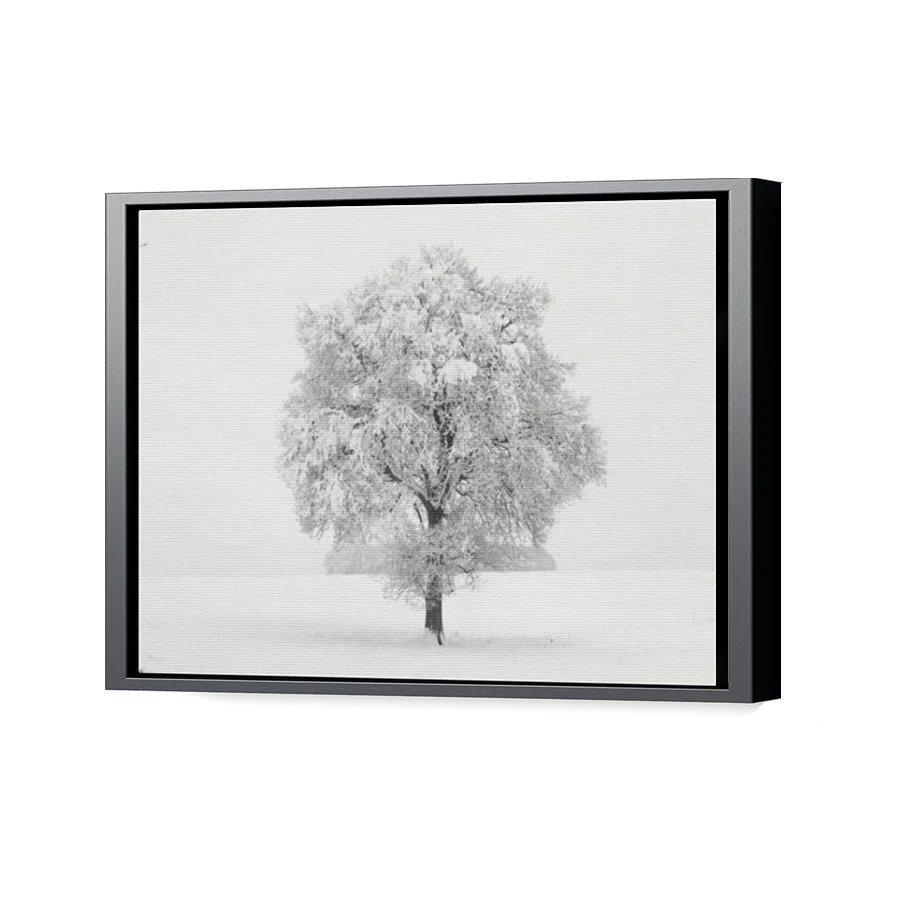 Thumbnail for Canvas - Black Floating Frame