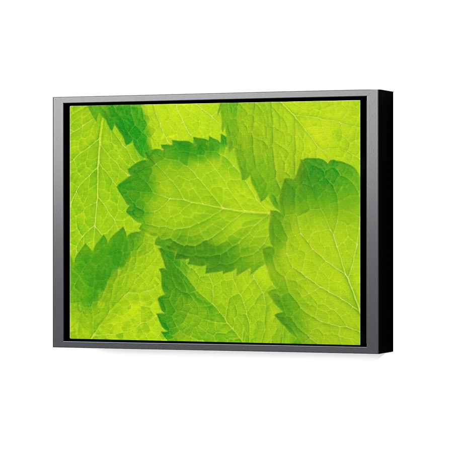 Thumbnail for Canvas - Black Floating Frame