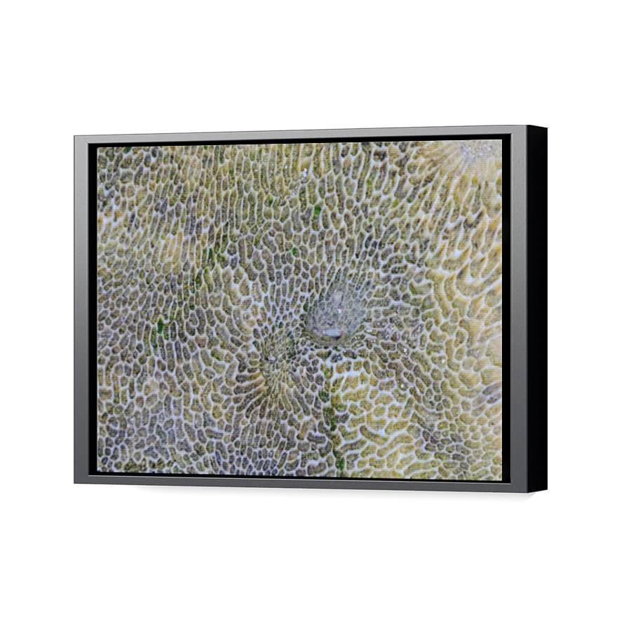 Thumbnail for Canvas - Black Floating Frame
