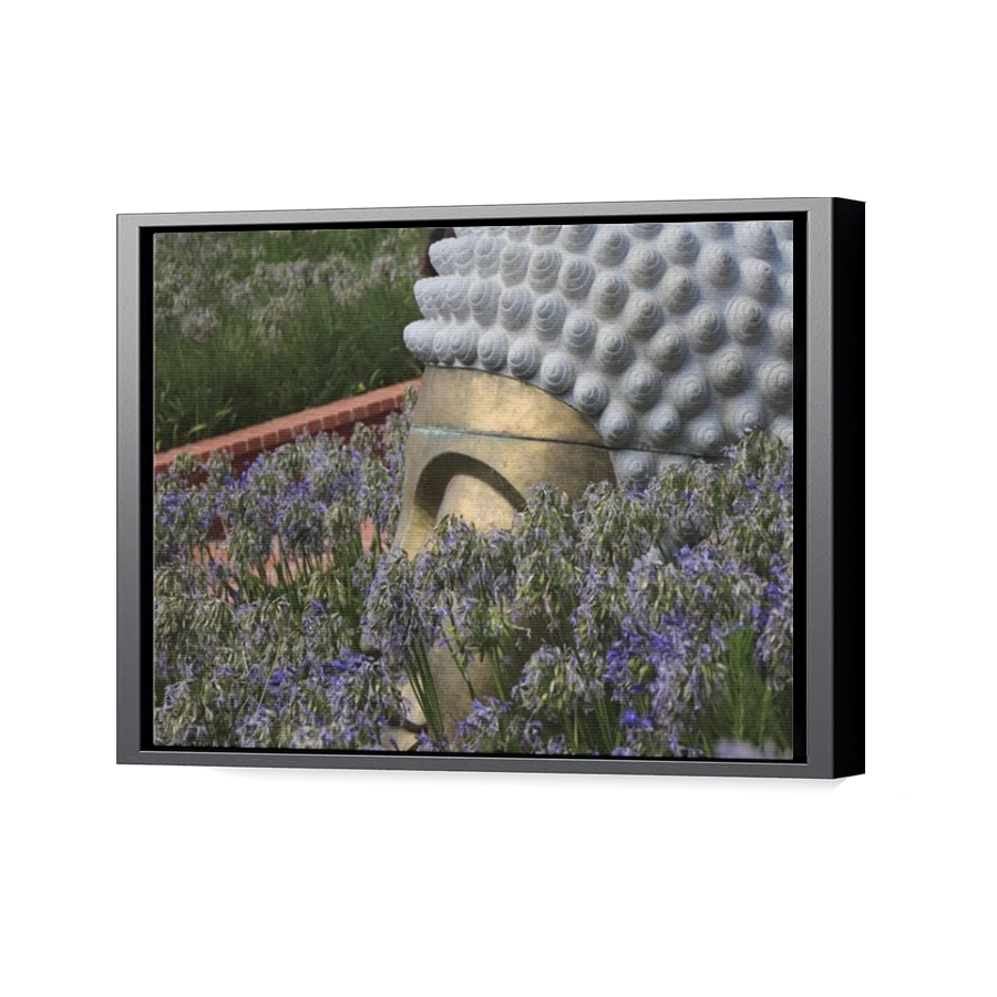 Thumbnail for Canvas - Black Floating Frame